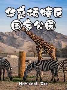 {{{title}}}